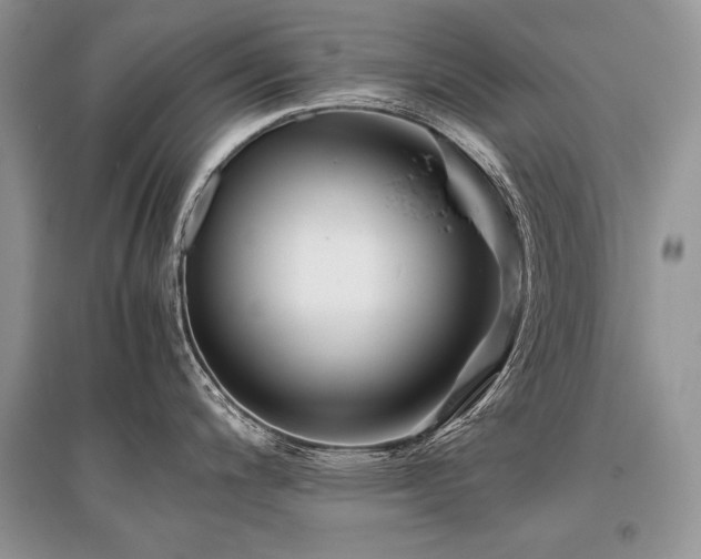 X0000096381200200801241229