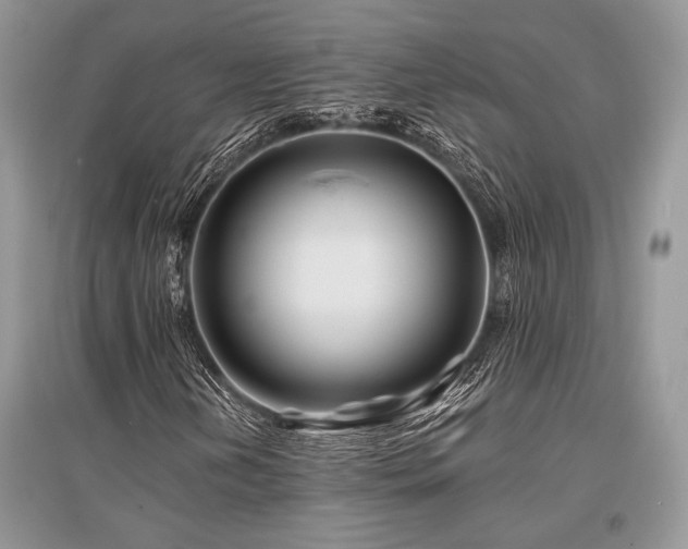 X0000096381202200801241229