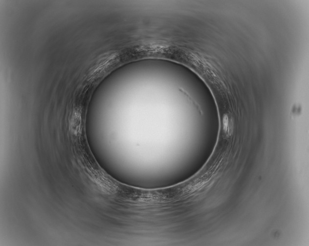 X0000096381203200801241229
