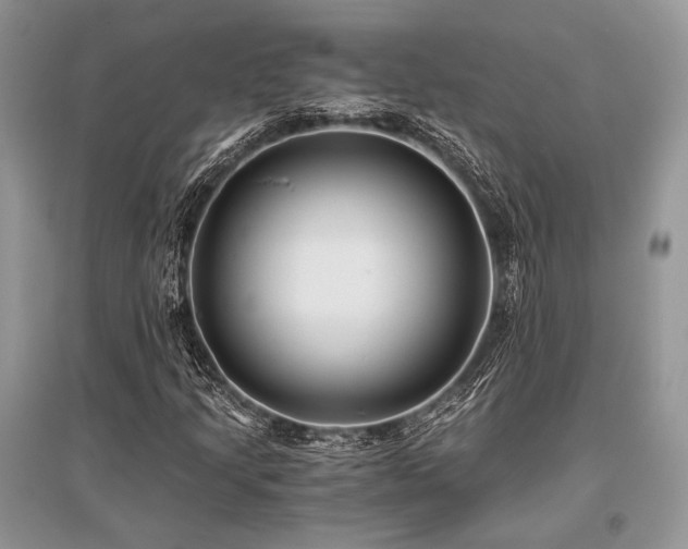 X0000096381205200801241229