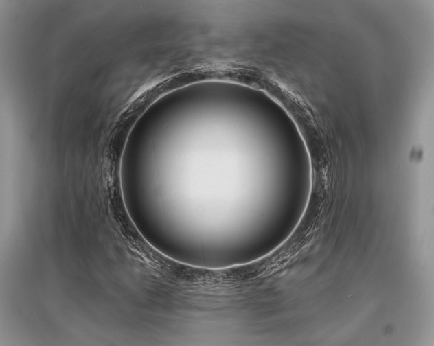 X0000096381206200801241229