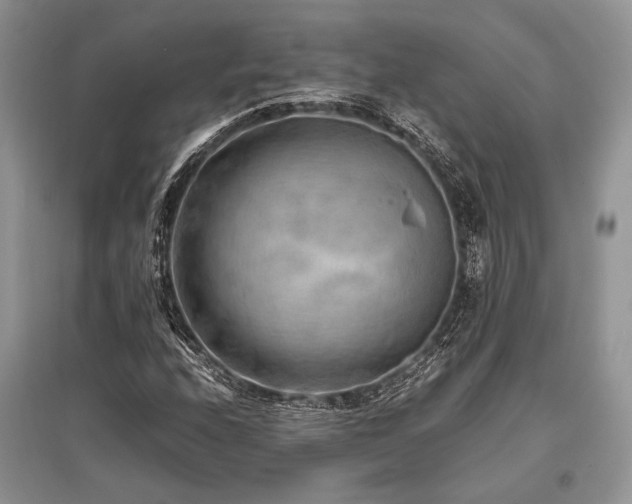 X0000096381208200801241229