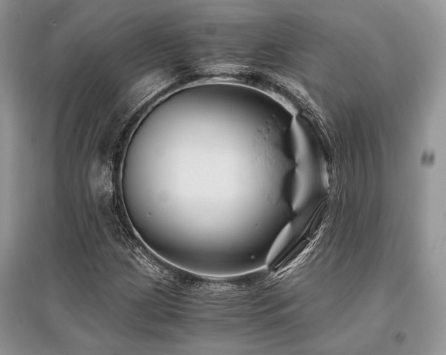 X0000096381209200801241229
