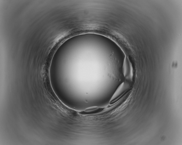 X0000096381210200801241229