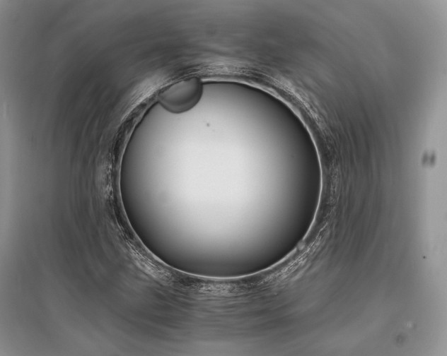 X0000096381211200801241229