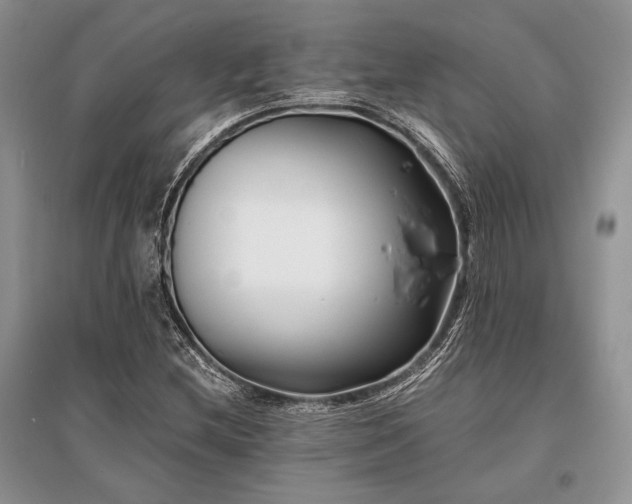 X0000096381212200801241229