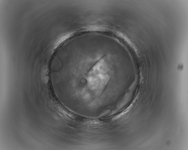 X0000096381213200801241229
