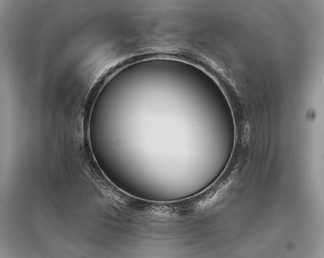 X0000096381214200801241229