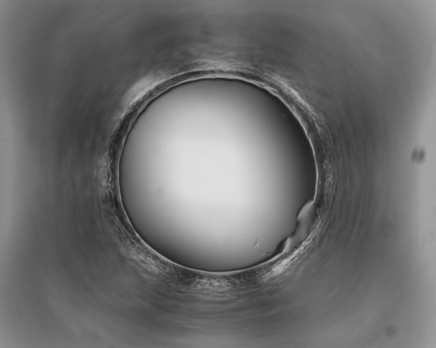X0000096381215200801241229