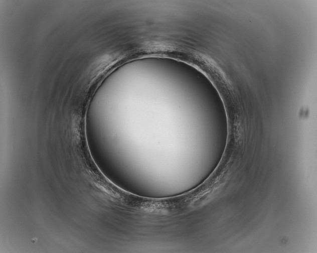 X0000096381217200801241229
