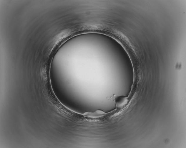 X0000096381218200801241229