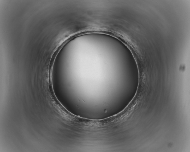X0000096381220200801241229