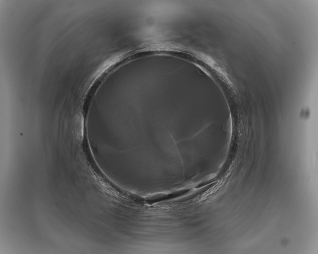 X0000096381221200801241229