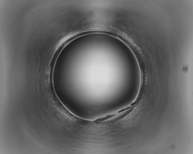 X0000096381222200801241229
