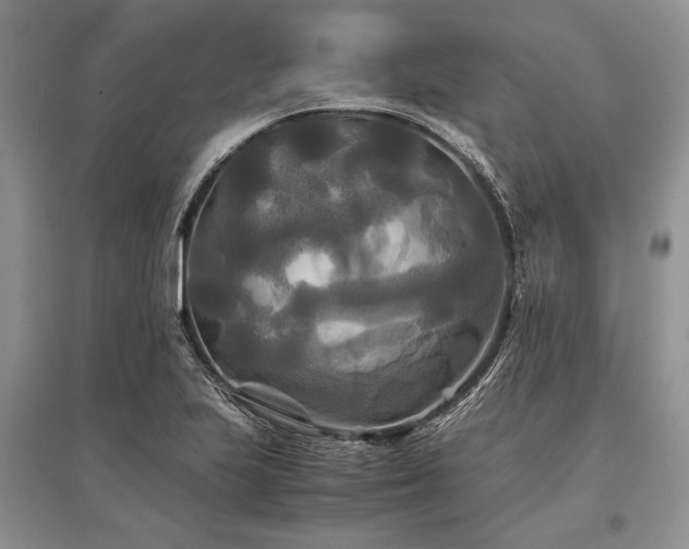 X0000096381223200801241229