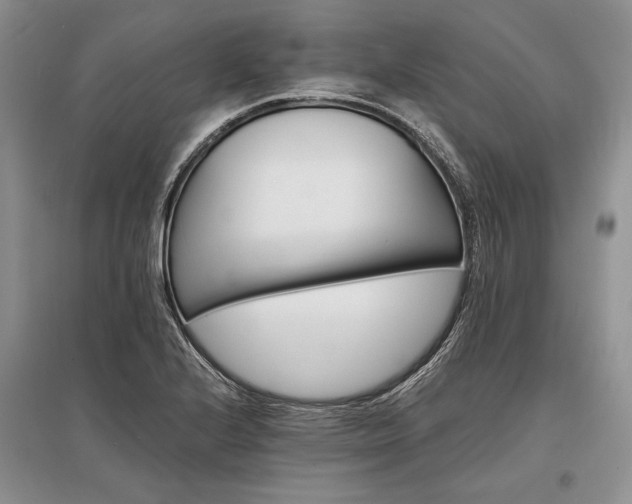 X0000096381224200801241229