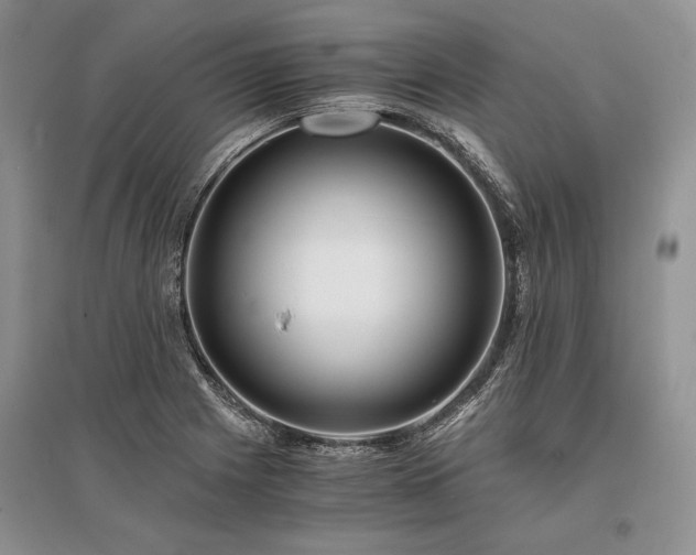 X0000096381225200801241229