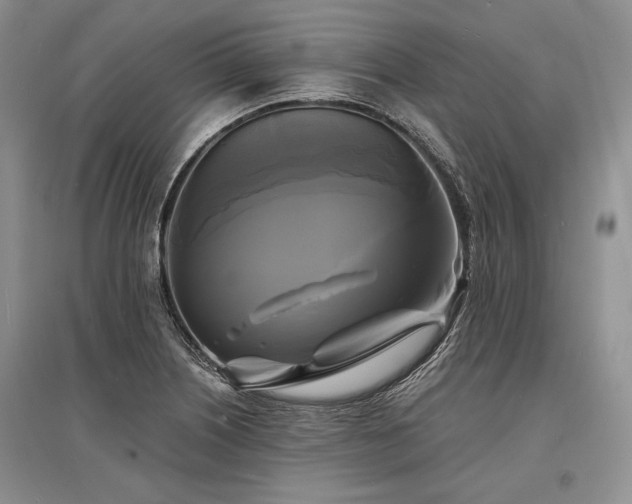 X0000096381226200801241229