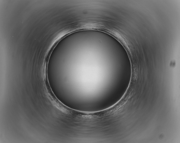 X0000096381227200801241229