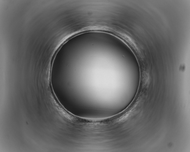 X0000096381228200801241229