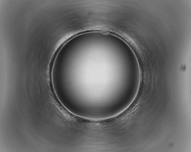 X0000096381230200801241229