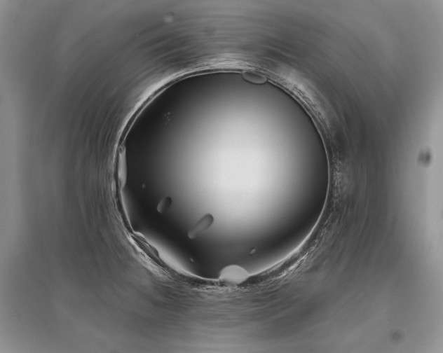 X0000096381236200801241229