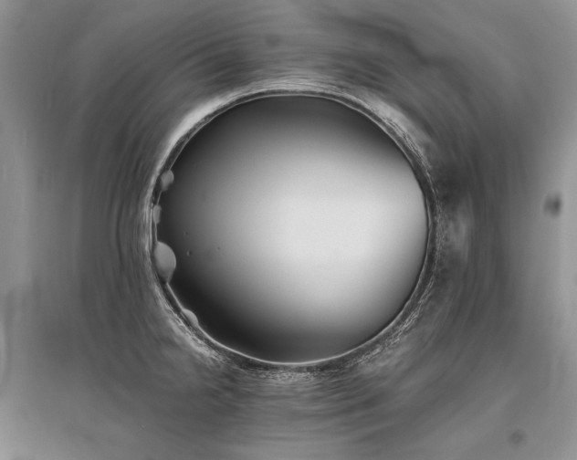X0000096381238200801241229