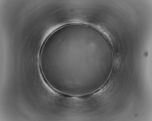 X0000096381239200801241229