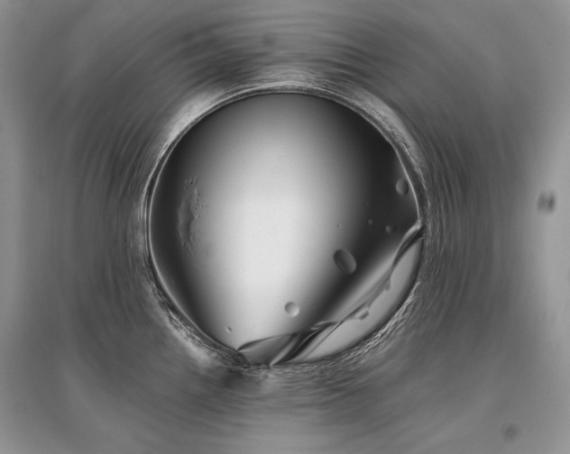 X0000096381242200801241229
