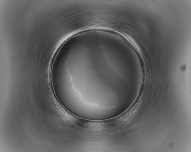 X0000096381246200801241229