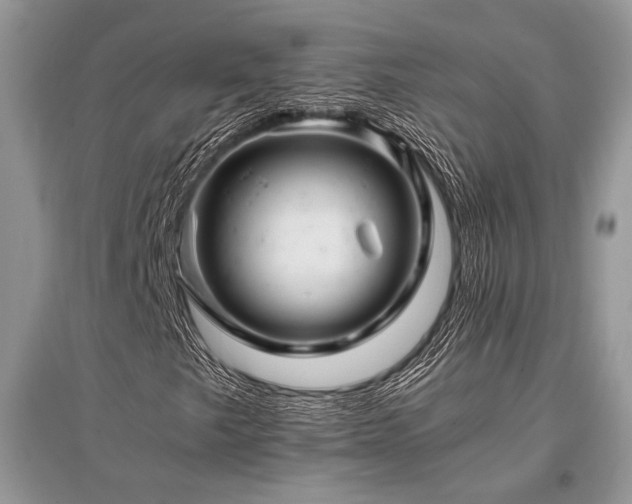 X0000096381249200801241229