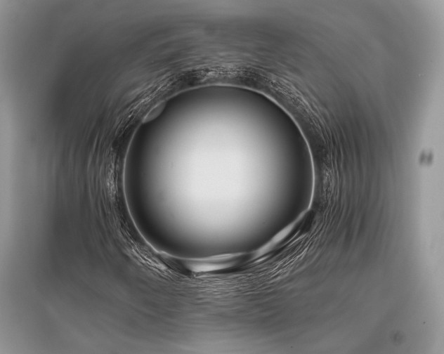 X0000096381250200801241229