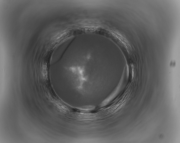 X0000096381252200801241229