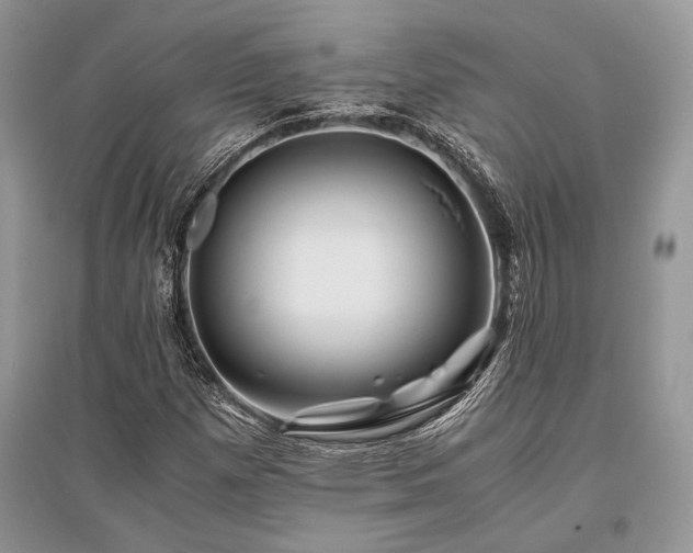 X0000096381257200801241229