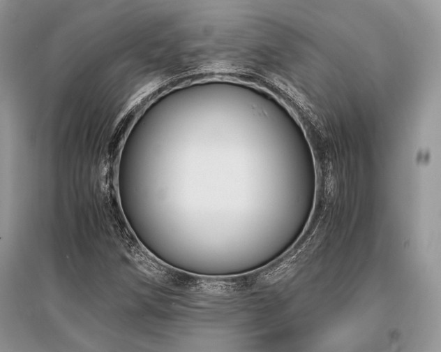 X0000096381258200801241229