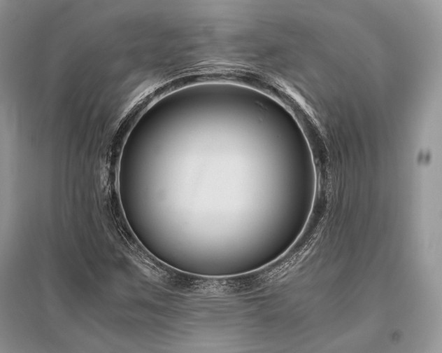 X0000096381259200801241229