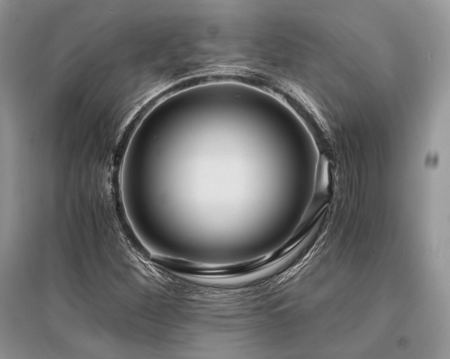 X0000096381260200801241229