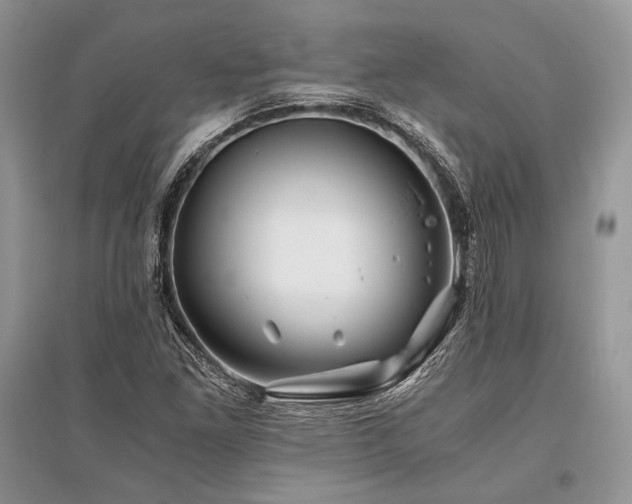 X0000096381261200801241229