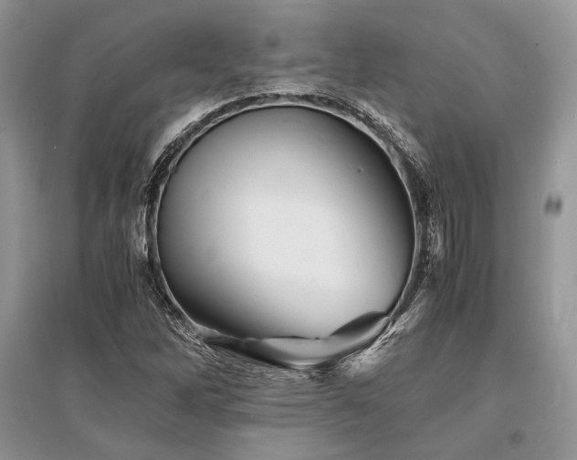 X0000096381262200801241229