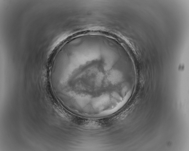 X0000096381263200801241229