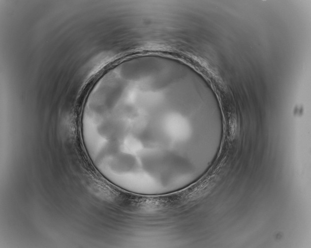 X0000096381266200801241229