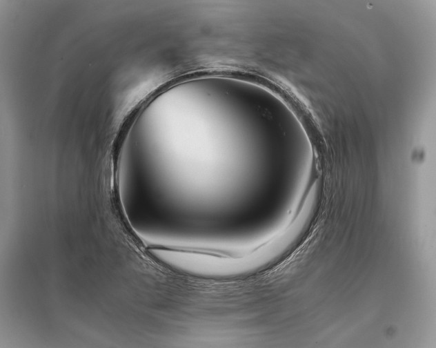 X0000096381269200801241228