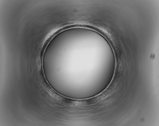 X0000096381271200801241228