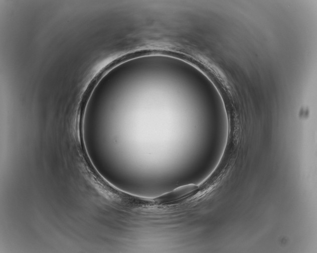 X0000096381272200801241228