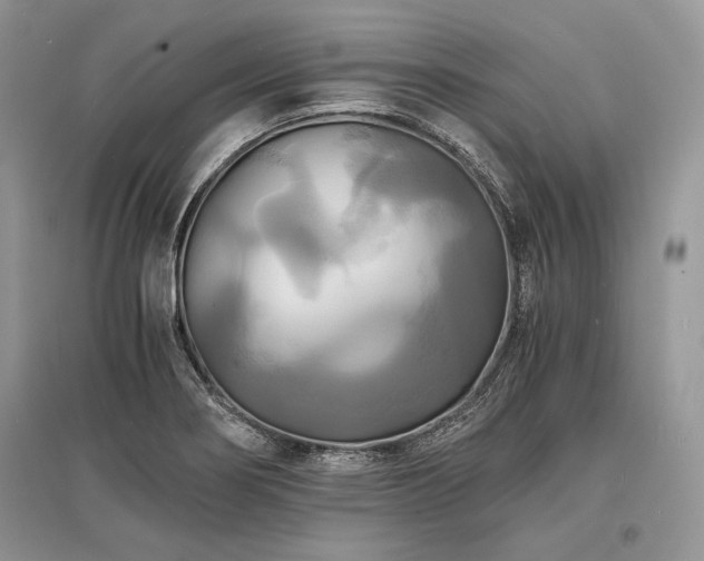 X0000096381274200801241228