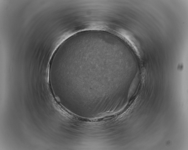 X0000096381276200801241228