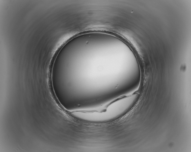 X0000096381277200801241228