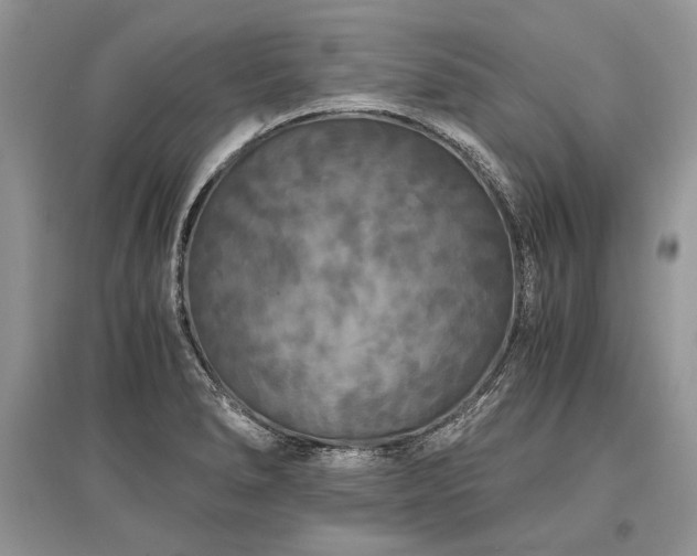 X0000096381278200801241228