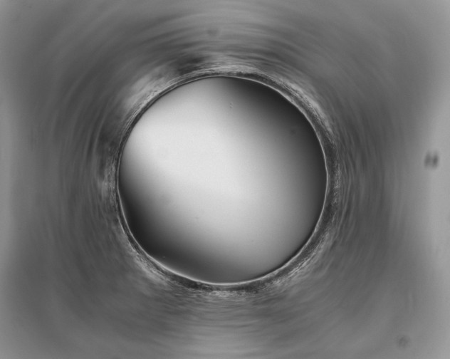 X0000096381281200801241228