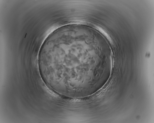 X0000096381283200801241228